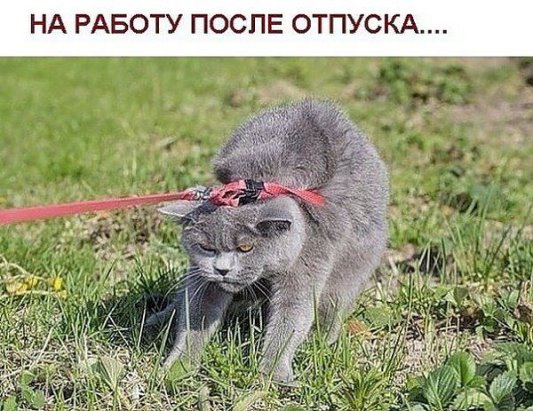 Нажмите на изображение для увеличения
Название: 03cf827e2c8d758acee7f7dbb77.jpg
Просмотров: 35
Размер:	48.5 Кб
ID:	10340