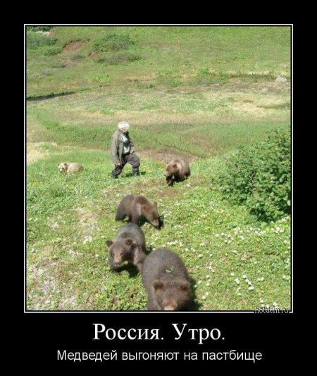 Нажмите на изображение для увеличения
Название: 2304685_600.jpg
Просмотров: 27
Размер:	34.6 Кб
ID:	10509