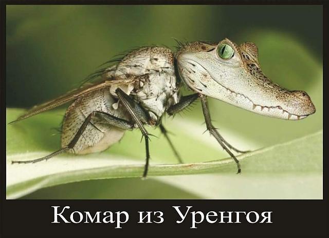 Нажмите на изображение для увеличения
Название: FB_IMG_1474790782018.jpg
Просмотров: 91
Размер:	35.5 Кб
ID:	10623