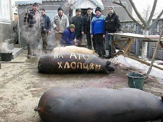 Нажмите на изображение для увеличения
Название: CwJriCVWcAA15SV.jpg
Просмотров: 39
Размер:	50.2 Кб
ID:	10768