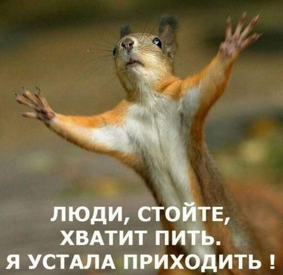 Нажмите на изображение для увеличения
Название: FB_IMG_1478189300278.jpg
Просмотров: 46
Размер:	27.7 Кб
ID:	10788