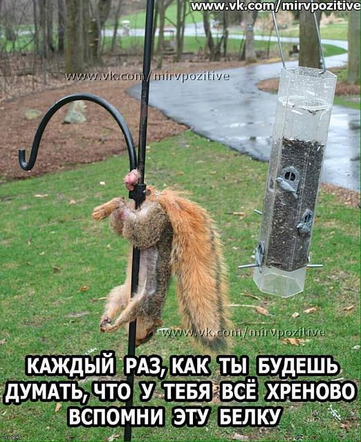 Нажмите на изображение для увеличения
Название: FB_IMG_1478247297476.jpg
Просмотров: 130
Размер:	46.0 Кб
ID:	10801