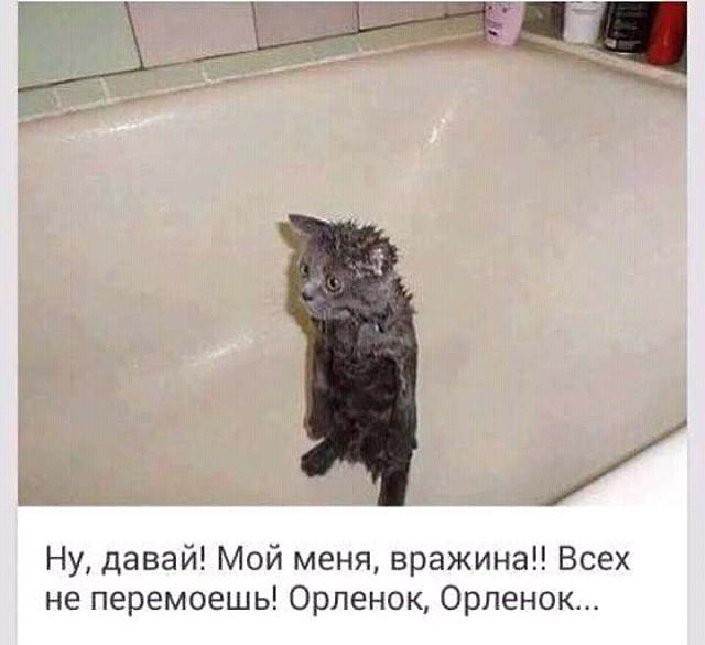 Нажмите на изображение для увеличения
Название: FB_IMG_14785377137150065.jpg
Просмотров: 28
Размер:	23.8 Кб
ID:	10823