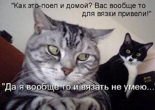 Нажмите на изображение для увеличения
Название: 026f7362f9a412f2744ead991c1.jpg
Просмотров: 32
Размер:	44.7 Кб
ID:	11238