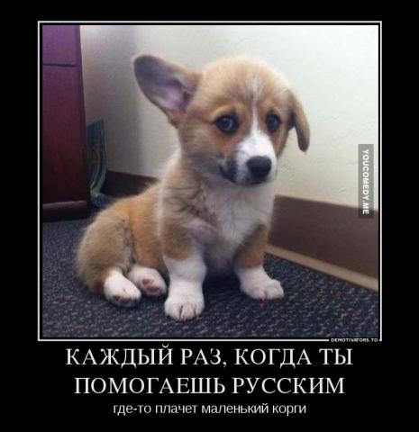 Название: 404323_kazhdyij-raz-kogda-tyi-pomogaesh-russkim_demotivators_to.jpg
Просмотров: 298

Размер: 28.8 Кб