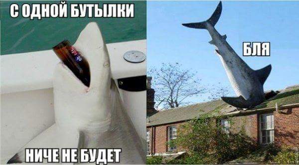 Название: FB_IMG_1483219168456.jpg
Просмотров: 159

Размер: 29.2 Кб