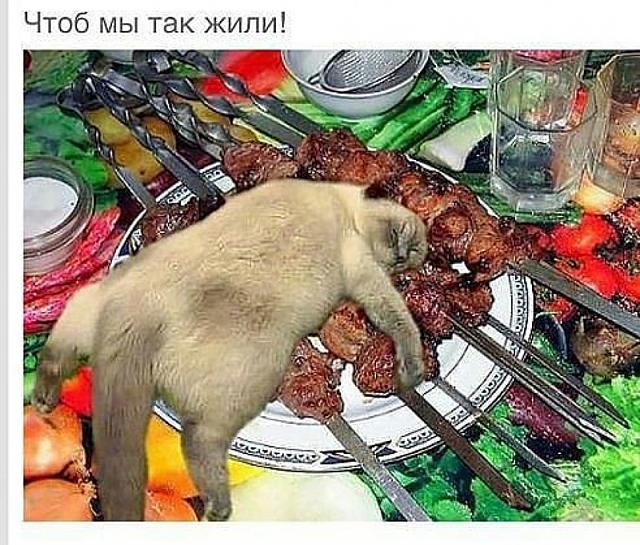 Нажмите на изображение для увеличения
Название: 20f2edc90ee1f3e50faf05e1c5a.jpg
Просмотров: 42
Размер:	52.2 Кб
ID:	11776