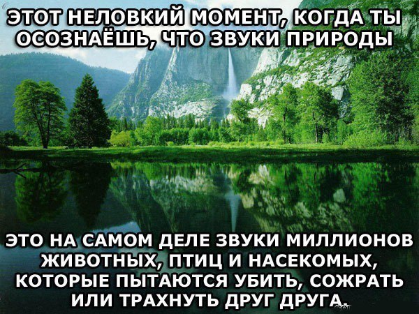 Нажмите на изображение для увеличения
Название: 217c1be11b3a17ee0174b1c4d03.jpg
Просмотров: 28
Размер:	50.4 Кб
ID:	12280