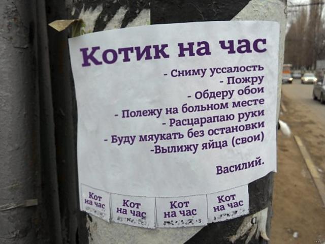 Нажмите на изображение для увеличения
Название: 1cec79429892a332875ed4ed54c.jpg
Просмотров: 196
Размер:	39.7 Кб
ID:	12342