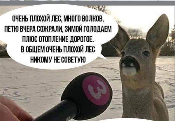 Название: FB_IMG_1492336894721.jpg
Просмотров: 308

Размер: 31.3 Кб