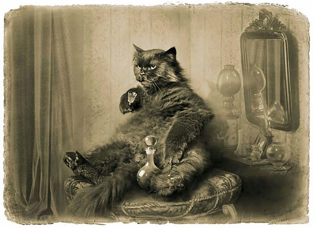Нажмите на изображение для увеличения
Название: 1458492250_4-facts-about-cat-behemoth.jpg
Просмотров: 44
Размер:	44.5 Кб
ID:	12437