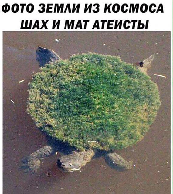 Нажмите на изображение для увеличения
Название: FB_IMG_14936183178756712.jpg
Просмотров: 33
Размер:	40.1 Кб
ID:	12442