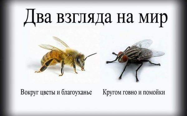 Название: FB_IMG_1497716881617.jpg
Просмотров: 1321

Размер: 19.1 Кб