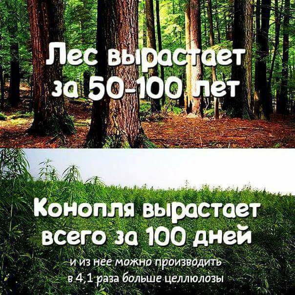 Нажмите на изображение для увеличения
Название: cannabis.jpg
Просмотров: 50
Размер:	52.2 Кб
ID:	12970