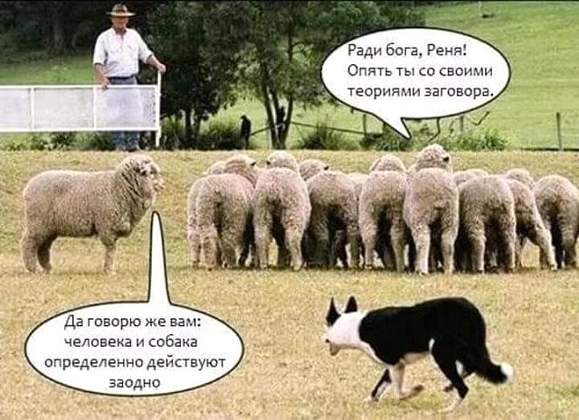 Нажмите на изображение для увеличения
Название: FB_IMG_15050430261996351.jpg
Просмотров: 50
Размер:	51.6 Кб
ID:	13460