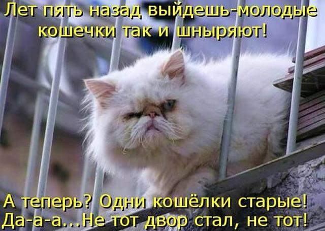 Нажмите на изображение для увеличения
Название: 16020de1af7c498b0197911045f.jpg
Просмотров: 31
Размер:	48.8 Кб
ID:	13497