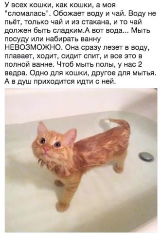 Название: FB_IMG_15060204057797642.jpg
Просмотров: 103

Размер: 28.5 Кб