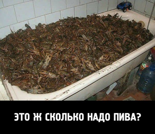 Нажмите на изображение для увеличения
Название: pivo.jpg
Просмотров: 53
Размер:	47.3 Кб
ID:	13649