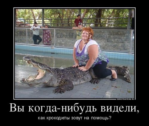 Название: 1404658018_1-demotivatory-xaxanet-20140706.jpg
Просмотров: 204

Размер: 48.5 Кб