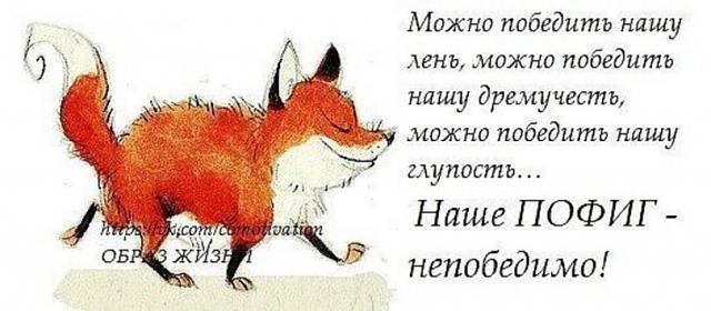 Нажмите на изображение для увеличения
Название: 1e8eb9b282e16c4797b49c0bc5e_prev.jpg
Просмотров: 24
Размер:	29.5 Кб
ID:	13686