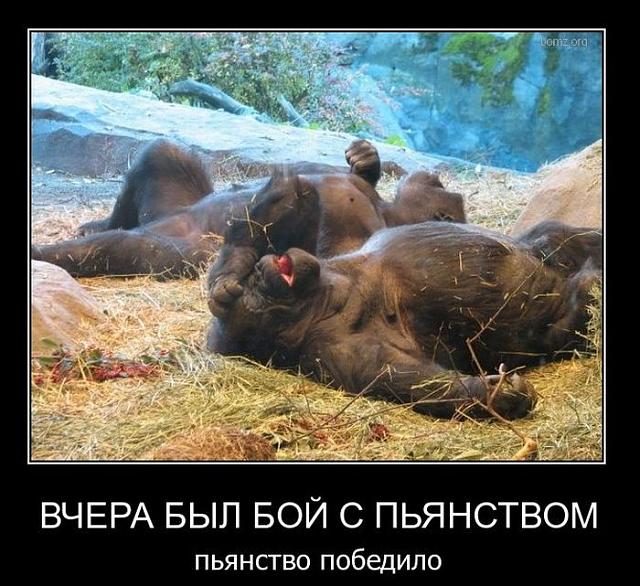 Нажмите на изображение для увеличения
Название: 1298940794_demo-4.jpg
Просмотров: 43
Размер:	48.4 Кб
ID:	13734