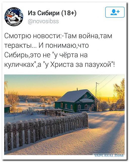 Нажмите на изображение для увеличения
Название: 10707190.jpg
Просмотров: 71
Размер:	36.6 Кб
ID:	13926
