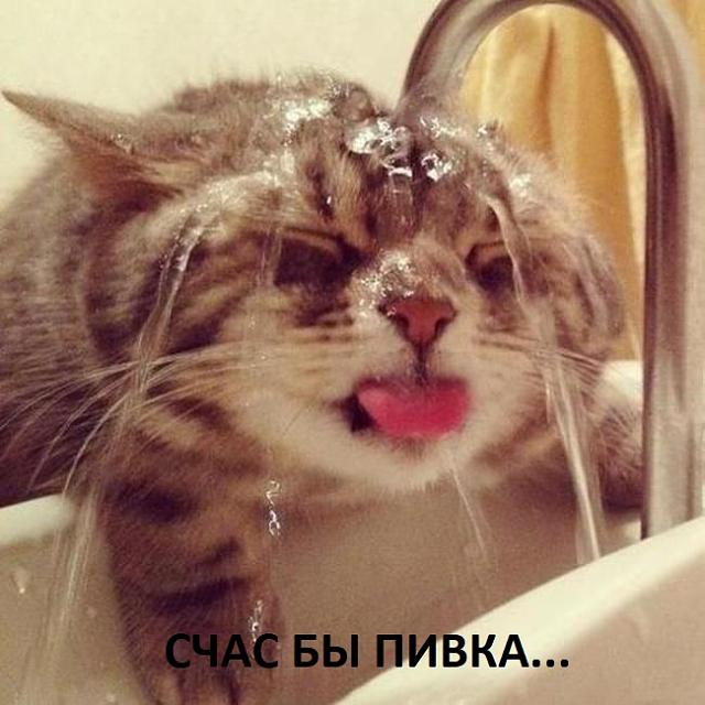 Нажмите на изображение для увеличения
Название: animals_with_hangover_04.jpg
Просмотров: 38
Размер:	32.2 Кб
ID:	13952
