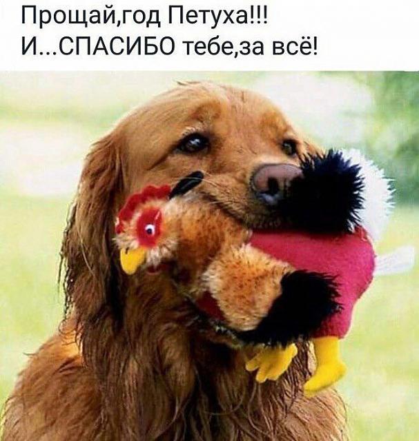 Нажмите на изображение для увеличения
Название: IMG-20171231-WA0003.jpg
Просмотров: 29
Размер:	33.5 Кб
ID:	14065