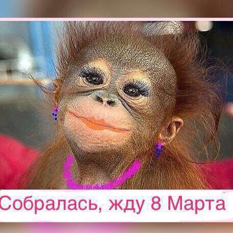 Название: IMG-fe08d1d3ad4f221d2924843ae65ea8da-V.jpg
Просмотров: 174

Размер: 48.7 Кб