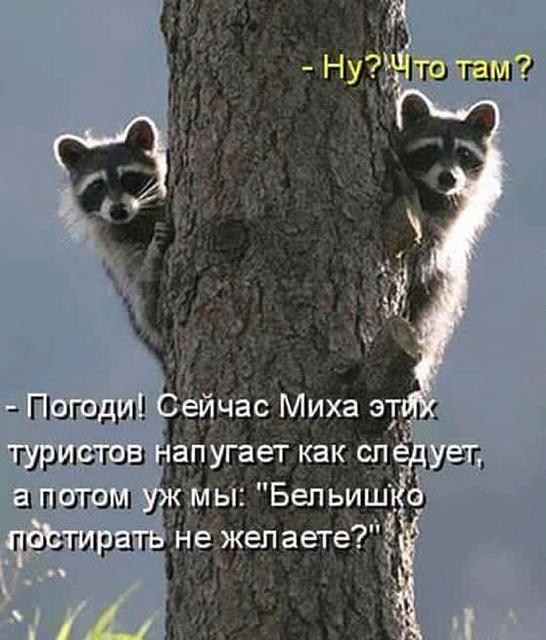 Нажмите на изображение для увеличения
Название: FB_IMG_15217418498397064.jpg
Просмотров: 90
Размер:	32.8 Кб
ID:	14429