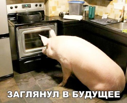 Название: 02406492391b8b5fccb97a6ebe2f4b7d.jpg
Просмотров: 219

Размер: 36.5 Кб