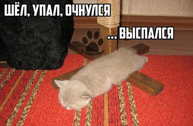 Нажмите на изображение для увеличения
Название: 243cf9f4226a925a45753d40878_prev.jpg
Просмотров: 25
Размер:	47.6 Кб
ID:	14695