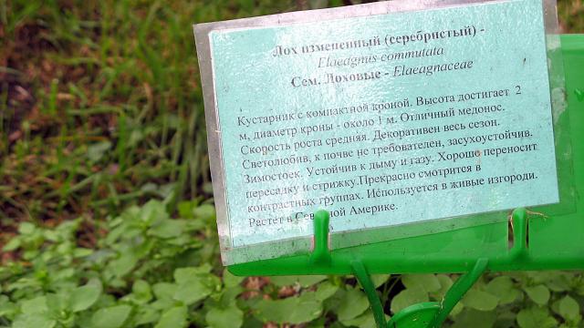 Нажмите на изображение для увеличения
Название: IMG_2909.jpg
Просмотров: 62
Размер:	40.3 Кб
ID:	14798