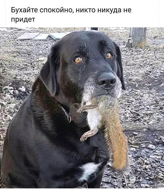 Нажмите на изображение для увеличения
Название: FB_IMG_15376344179134207.jpg
Просмотров: 510
Размер:	43.4 Кб
ID:	15321