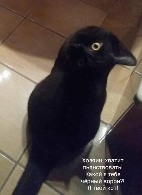 Нажмите на изображение для увеличения
Название: 14fa5d6108c814d18b48a2e6294.jpg
Просмотров: 48
Размер:	15.9 Кб
ID:	15692