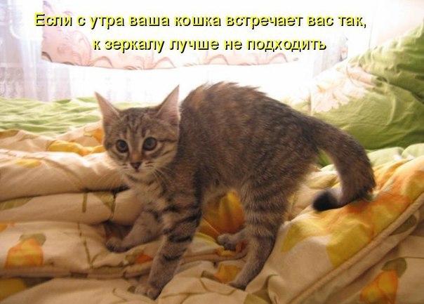 Название: 0698250aaa40092ab7e980bea17.jpg
Просмотров: 114

Размер: 42.6 Кб