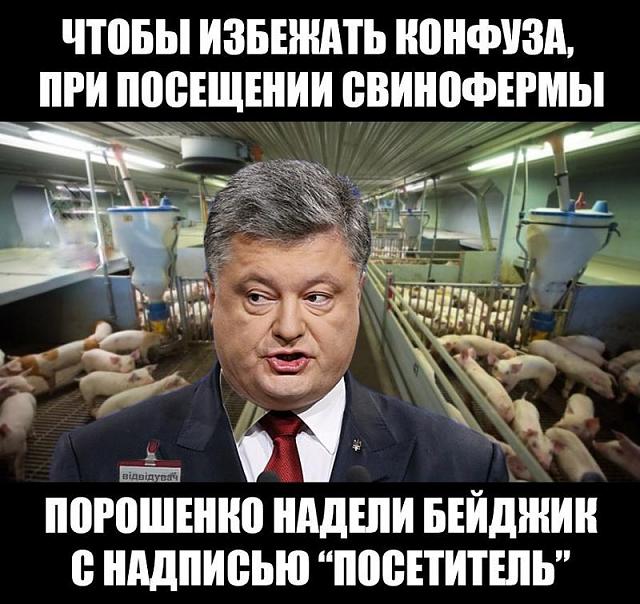 Нажмите на изображение для увеличения
Название: 13845870_e79da1c626695dde843e52519e7e741e_800.jpg
Просмотров: 330
Размер:	50.3 Кб
ID:	16228