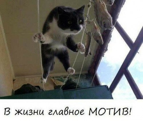 Нажмите на изображение для увеличения
Название: 02ae493b7d6a1b1849bb87e0ab3f0fdf.jpg
Просмотров: 67
Размер:	25.4 Кб
ID:	17231