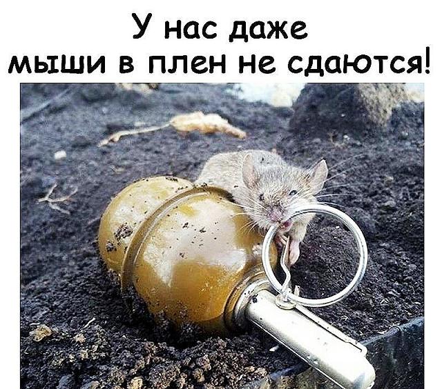 Нажмите на изображение для увеличения
Название: 0fbvxsCmCKE.jpg
Просмотров: 30
Размер:	51.0 Кб
ID:	17400