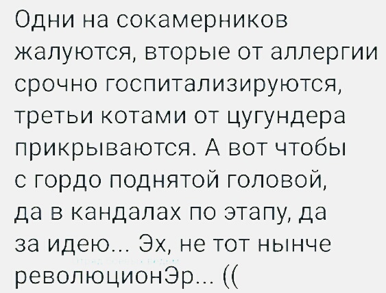Нажмите на изображение для увеличения
Название: aeVnpkb58Wc.jpg
Просмотров: 29
Размер:	39.4 Кб
ID:	17440