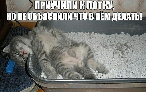 Нажмите на изображение для увеличения
Название: Ayd7ZkyZyO4.jpg
Просмотров: 28
Размер:	44.8 Кб
ID:	17443