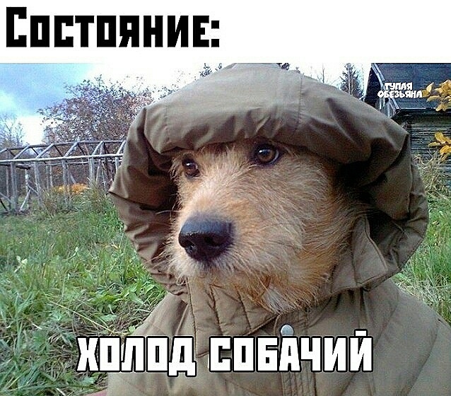 Нажмите на изображение для увеличения
Название: NwNKSrJhu5Q.jpg
Просмотров: 62
Размер:	50.0 Кб
ID:	17742