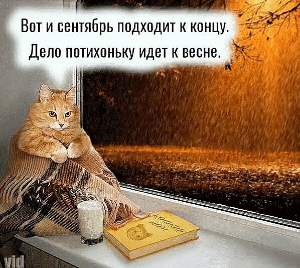 Нажмите на изображение для увеличения
Название: O0QfJO5Vk6E.jpg
Просмотров: 26
Размер:	50.0 Кб
ID:	17788