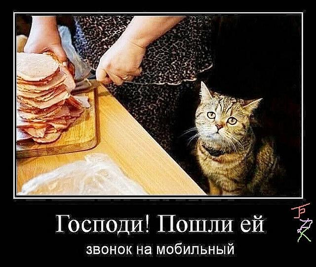 Нажмите на изображение для увеличения
Название: NJwOefkpY3g.jpg
Просмотров: 51
Размер:	48.8 Кб
ID:	17896