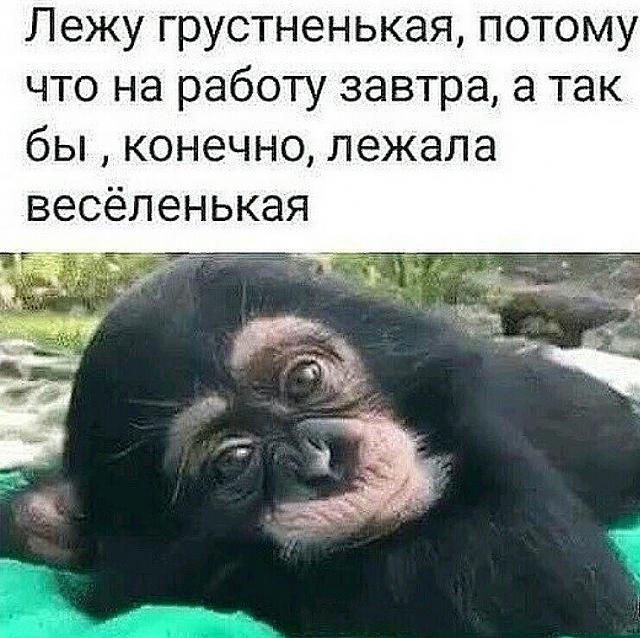 Нажмите на изображение для увеличения
Название: 2FDaxHHQPz0.jpg
Просмотров: 47
Размер:	39.1 Кб
ID:	17898