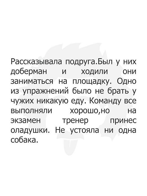 Нажмите на изображение для увеличения
Название: 1DYXvDFuKw0.jpg
Просмотров: 35
Размер:	20.4 Кб
ID:	17969