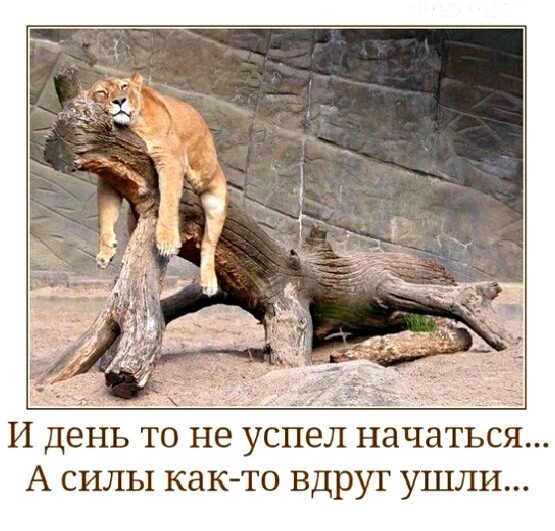 Нажмите на изображение для увеличения
Название: Xd6FI6hPwgE.jpg
Просмотров: 42
Размер:	45.2 Кб
ID:	18048