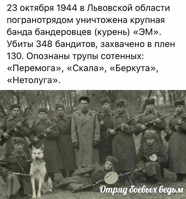Нажмите на изображение для увеличения
Название: 6eLpnvc7Ur8.jpg
Просмотров: 38
Размер:	41.9 Кб
ID:	18060