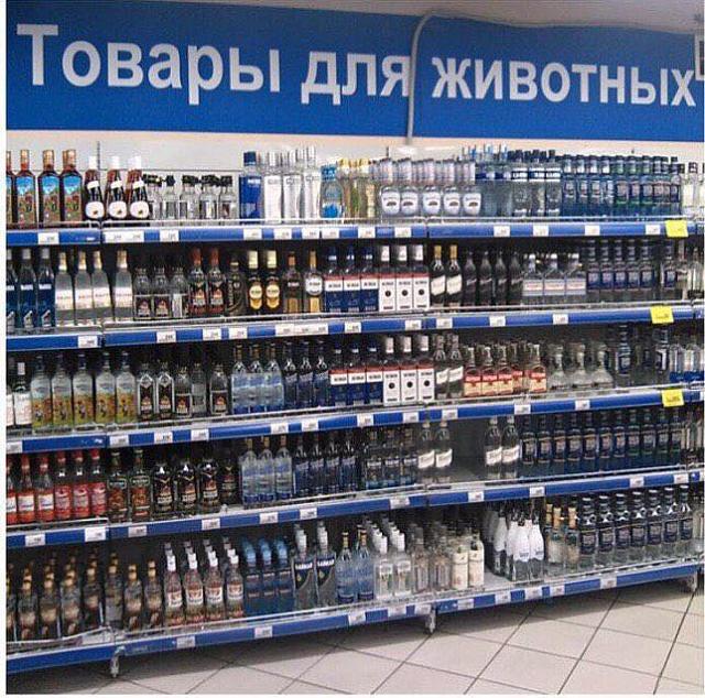 Нажмите на изображение для увеличения
Название: 8QkfpGDxGk0.jpg
Просмотров: 29
Размер:	50.4 Кб
ID:	18185