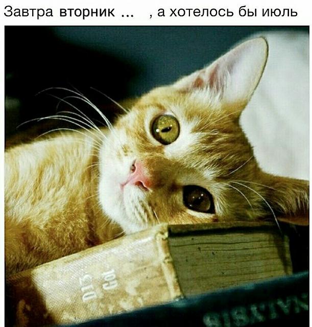 Нажмите на изображение для увеличения
Название: UKbY8pzG__I.jpg
Просмотров: 40
Размер:	35.3 Кб
ID:	18196